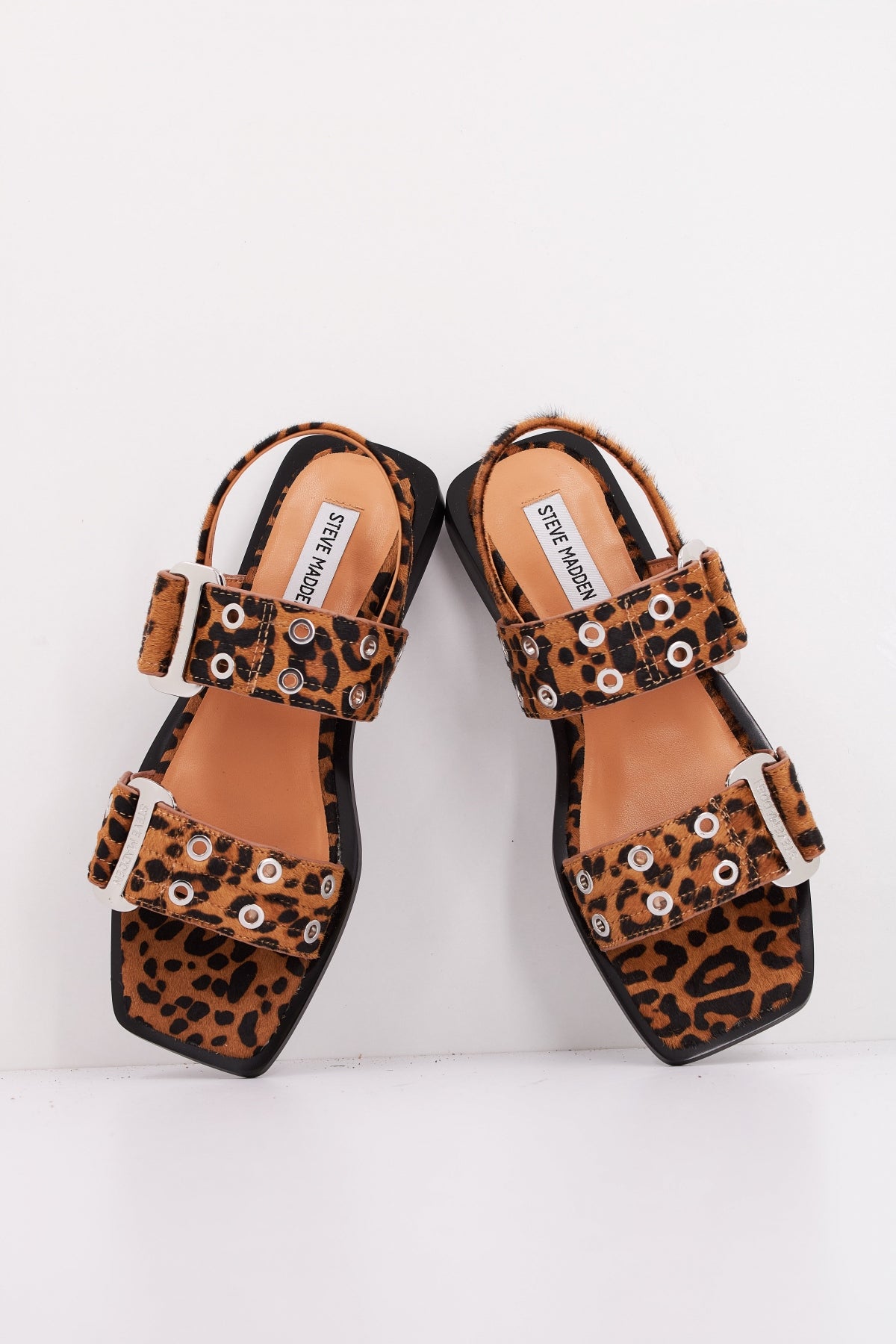 STEVE MADDEN SARIA LE en color ANIMAL PRINT  (3)