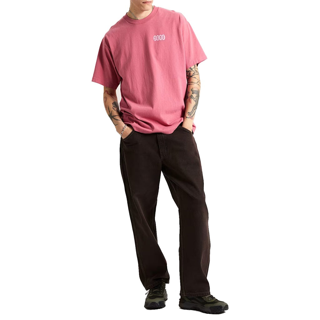 VANS EARTHBOUND LOOSE FIT S en color ROSA  (4)