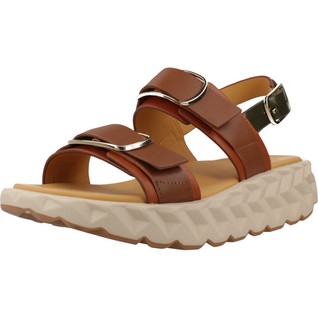 CCCCEES  JABARA SANDY  en color MARRON  (1)