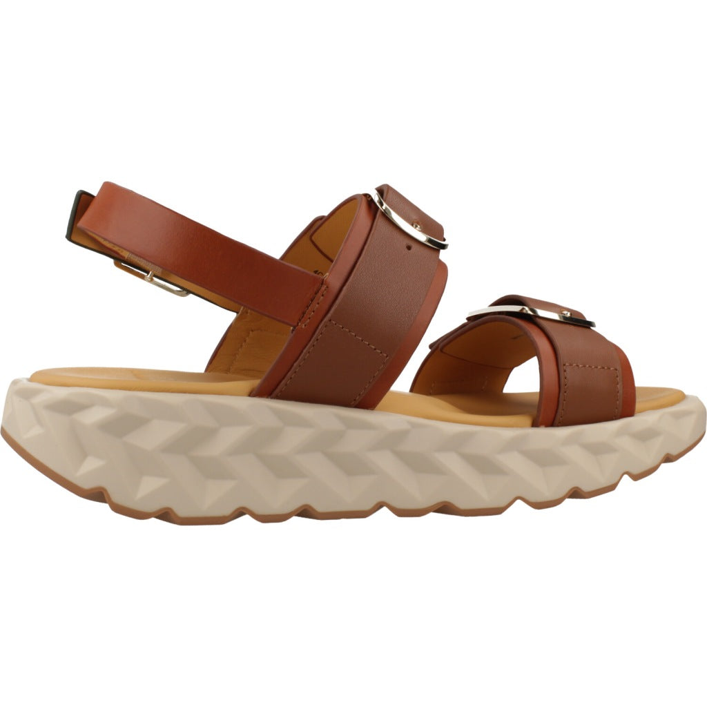CCCCEES  JABARA SANDY  en color MARRON  (4)