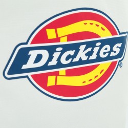 Complementos de la marca DICKIES en zacaris